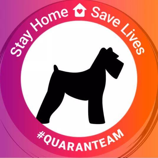 L & M Ventures Pet Spa by Safeway