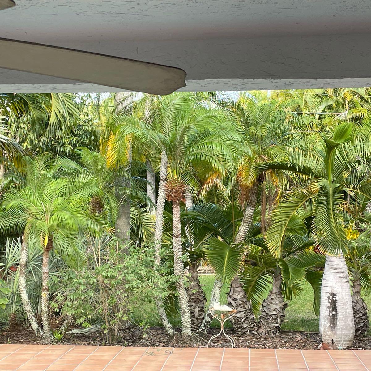 It's killing our babies': 12-year-old from Richmond Heights dies attempting  TikTok challenge, family says - cleveland.com, image size:1200x1200