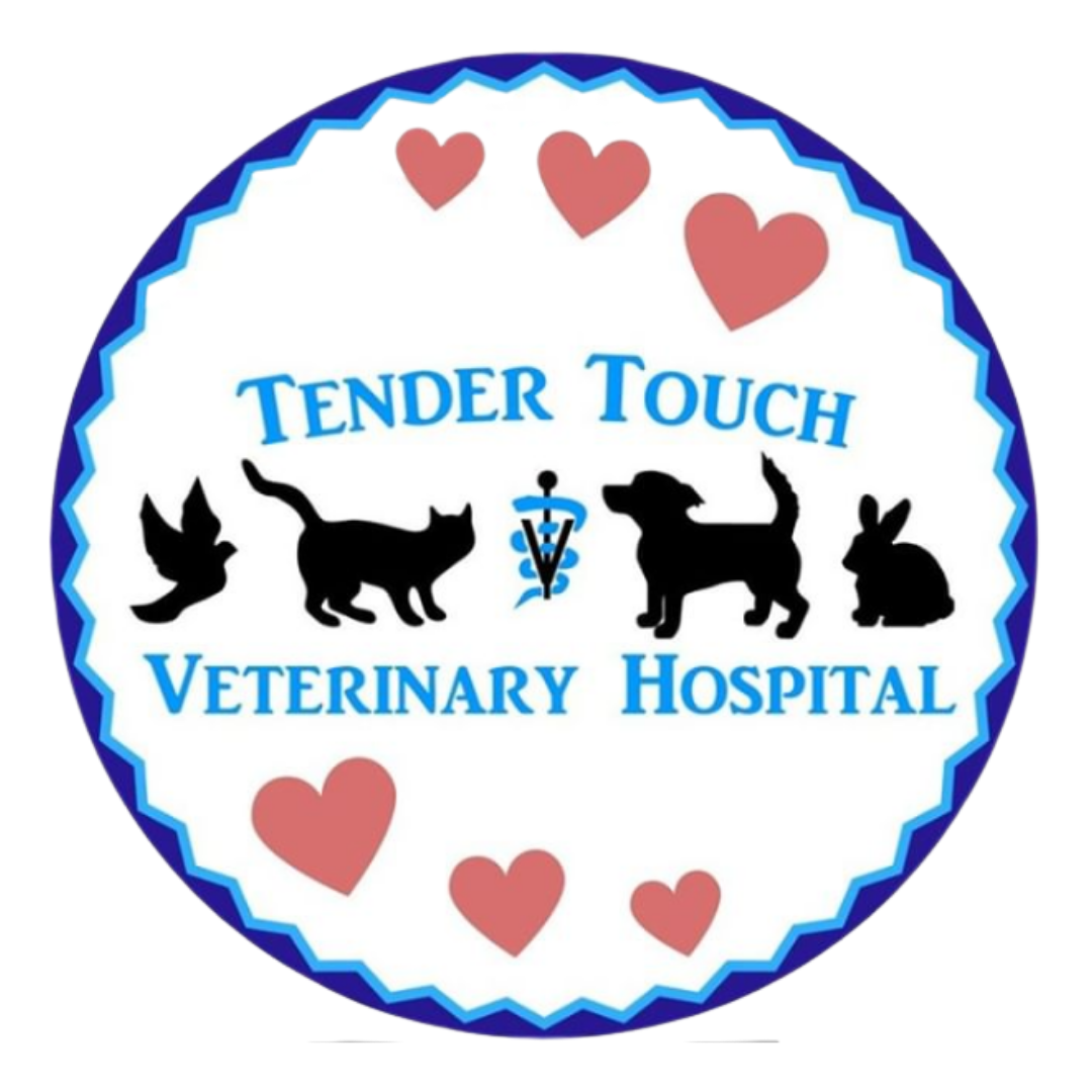 tender-touch-veterinary-hospital-wexford-pa-nextdoor