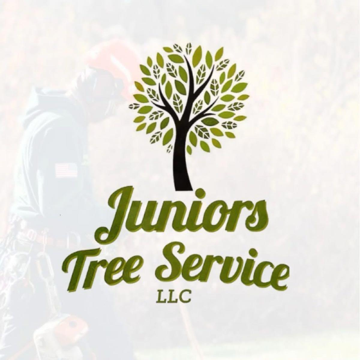Junior Tree Service LLC - Morris Plains, NJ - Nextdoor