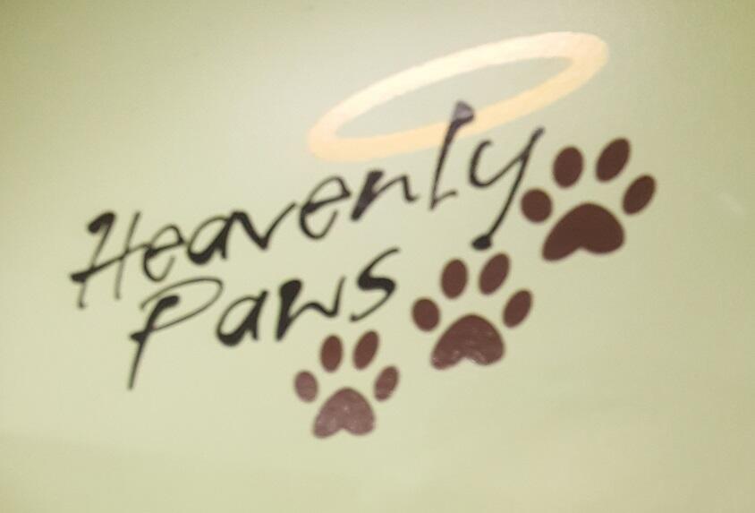 Heavenly paws sale mobile grooming