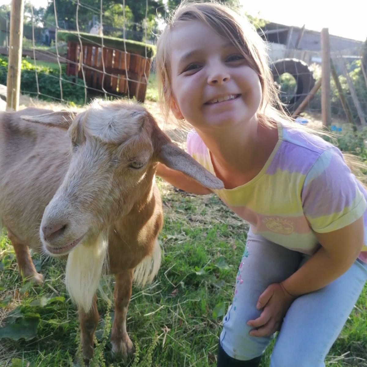 Smiles Sensory & Family Farm - Tunbridge Wells - Nextdoor