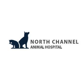 North Channel Animal Hospital - Houston, TX - Nextdoor