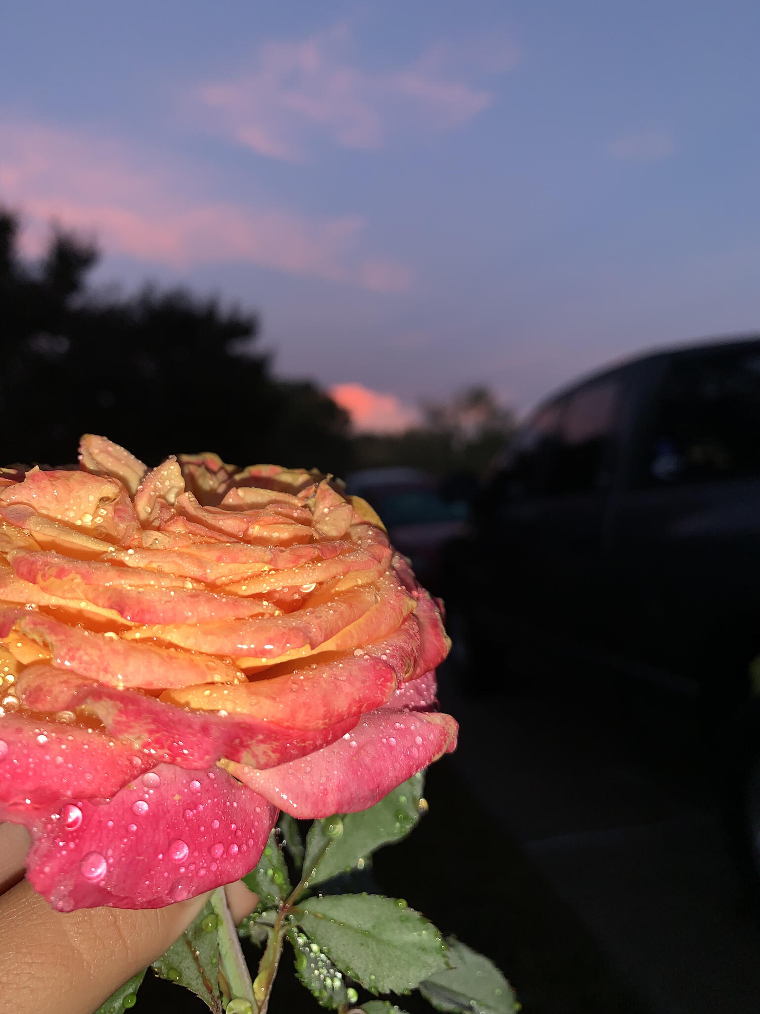 Garcia Landscaping Wendell, NC Nextdoor