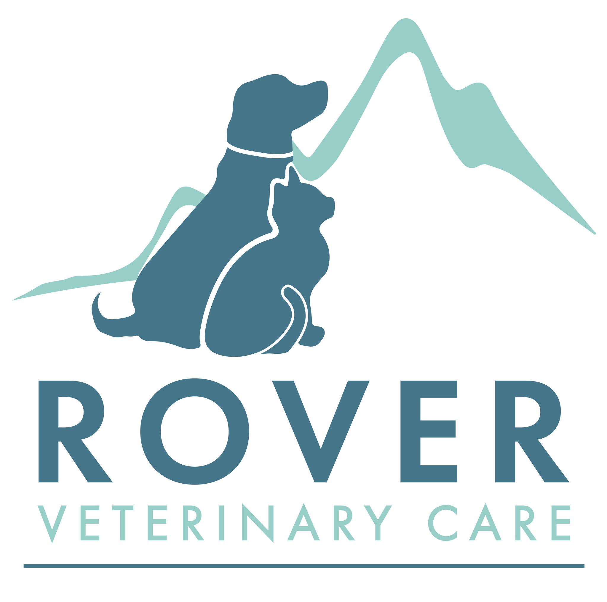 Rover Veterinary Care Nextdoor
