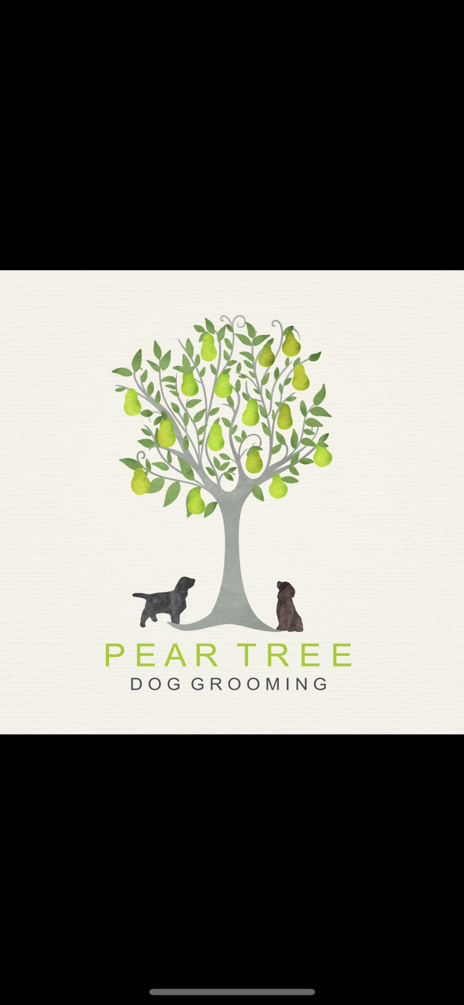 Pear Tree Dog Grooming Newmarket Nextdoor