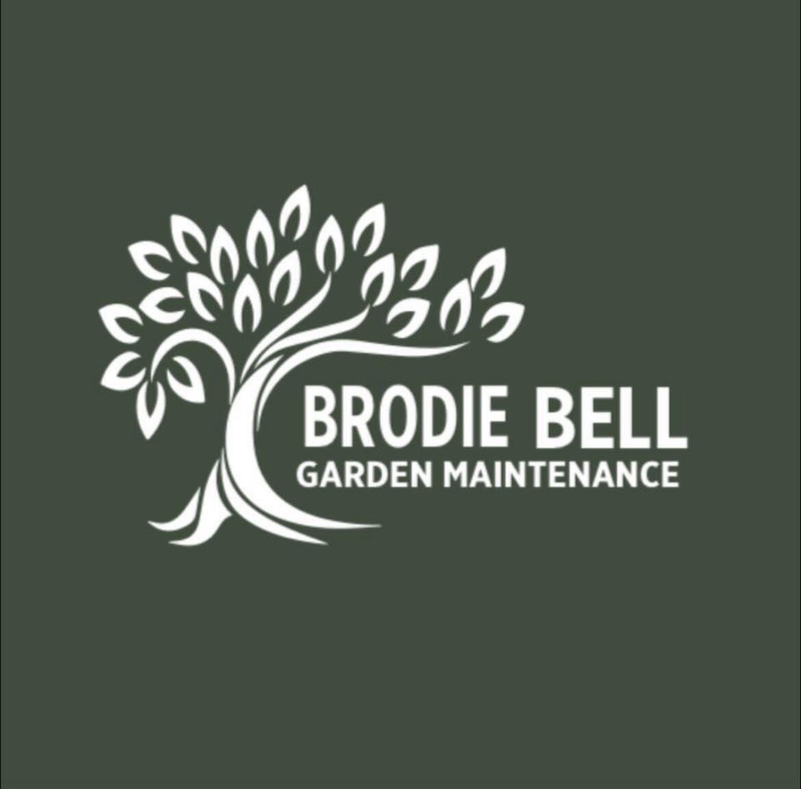 Brodie Bell Garden Maintenance Loughton GB ENG Nextdoor