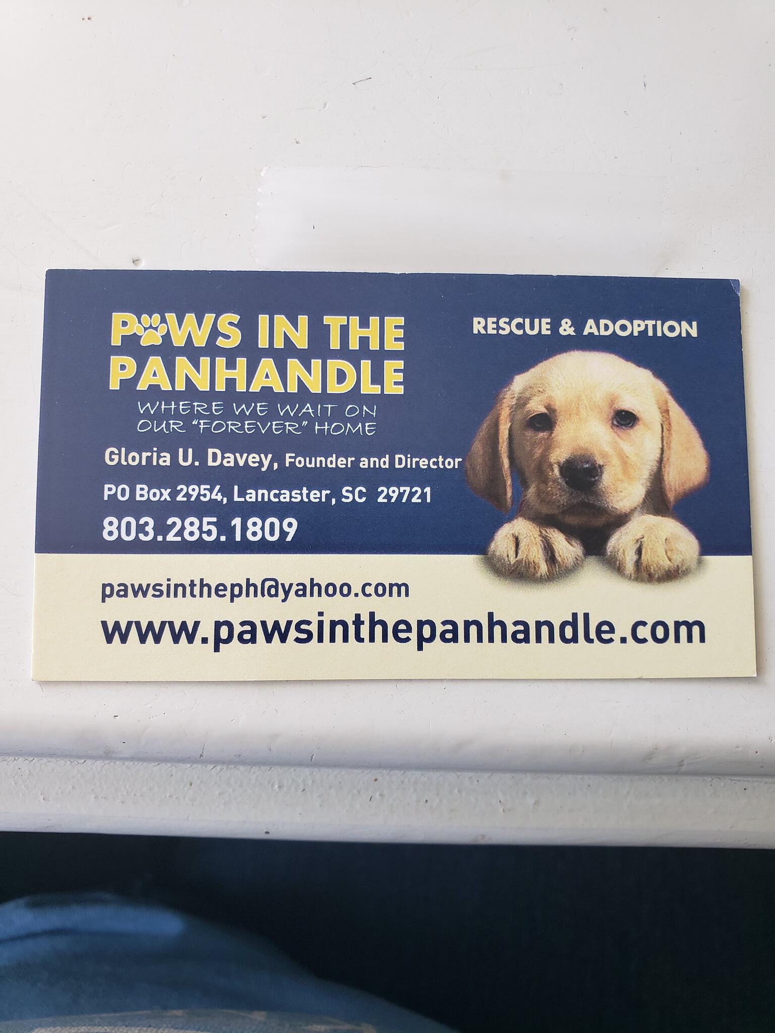 Paws in the Panhandle - Lancaster, SC - Nextdoor