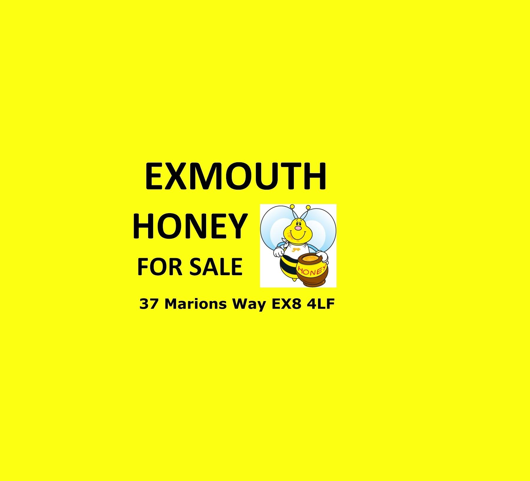 Brixington Apiary Exmouth Nextdoor