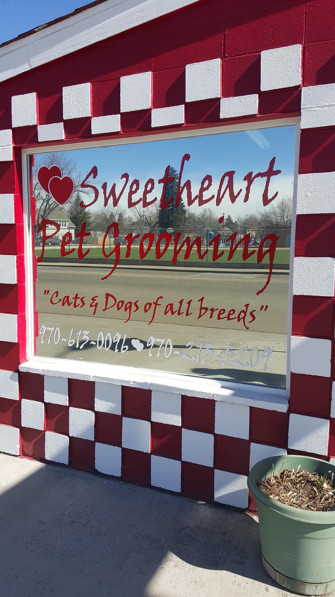 Sweetheart Pet Grooming Loveland, CO Nextdoor