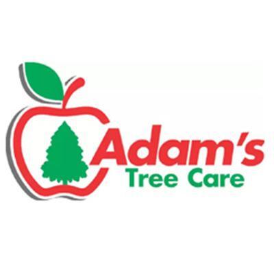 Adam's Tree Care - Chula Vista, CA - Nextdoor