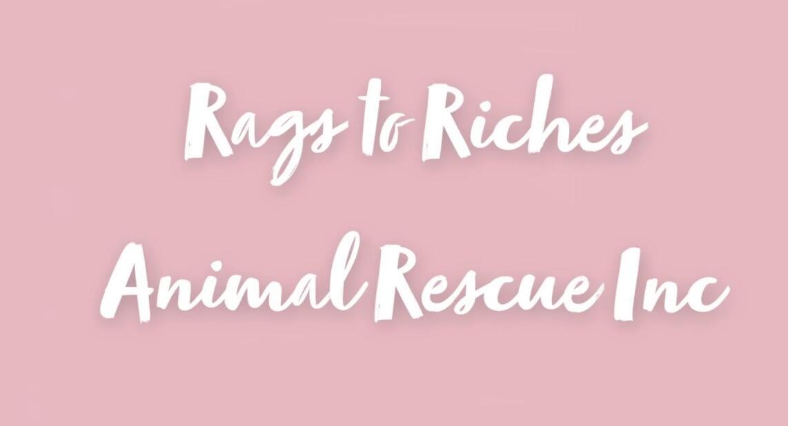 Rags to Riches Animal Rescue Inc Nextdoor