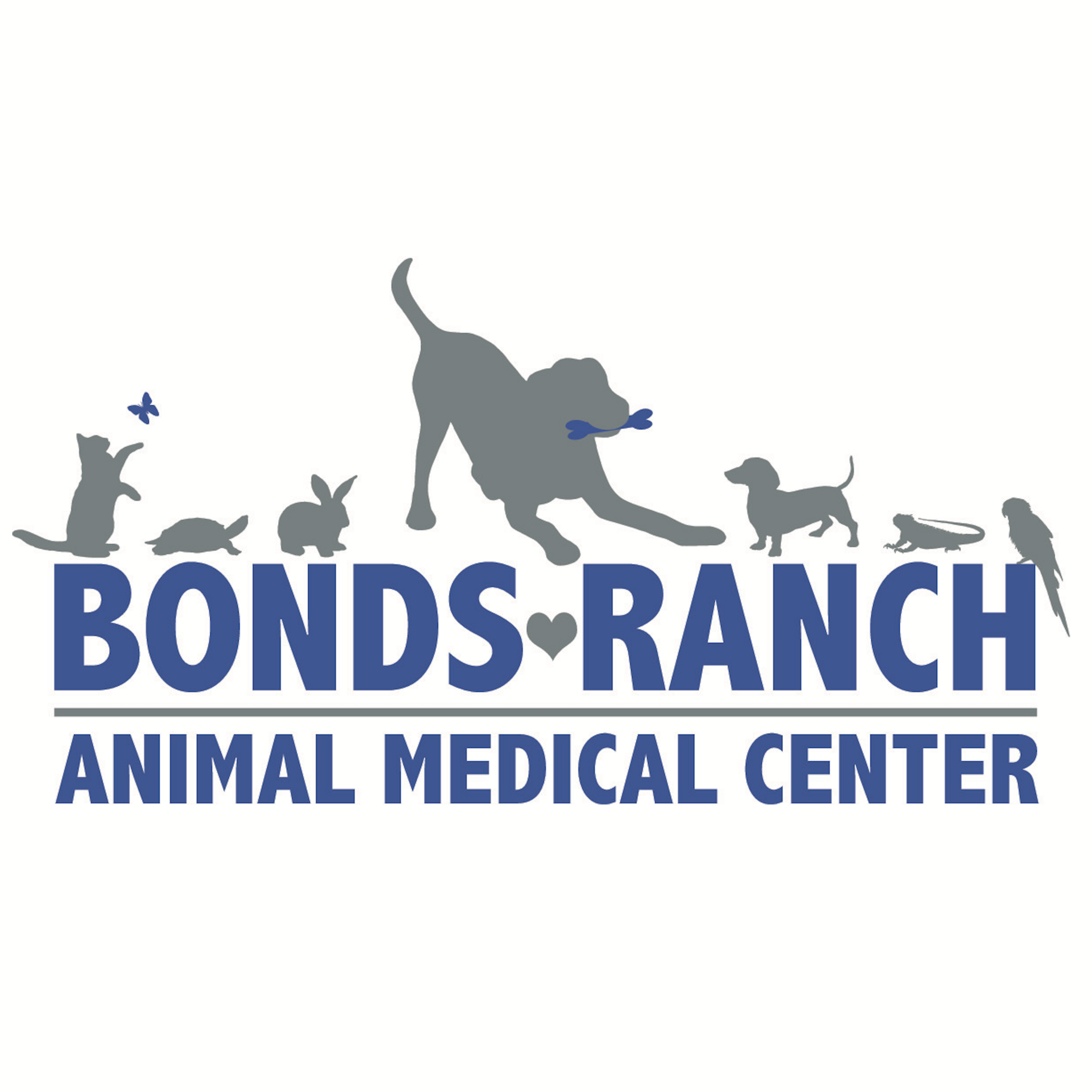 Vca fort worth animal best sale medical center