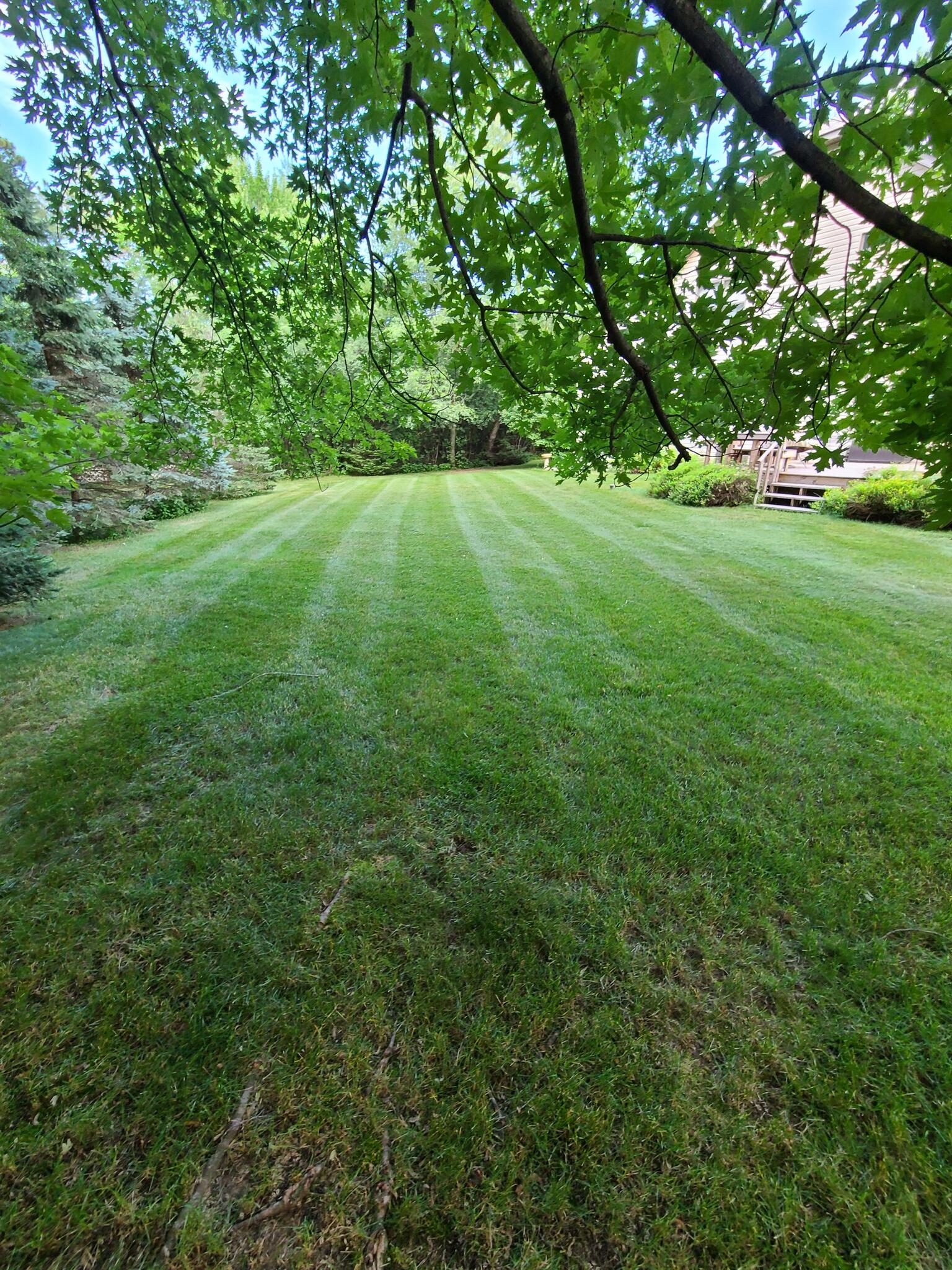 Lepper Lawn Care Chippewa Falls WI Nextdoor