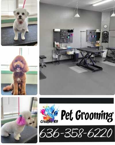 Cage free grooming clearance near me