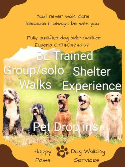 Happy paws dog training 2025