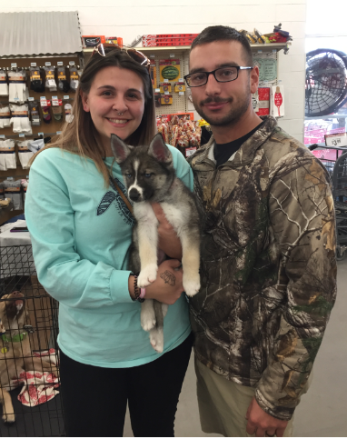 Huckleberry Hound Dog Rescue Of El Paso 4 Recommendations