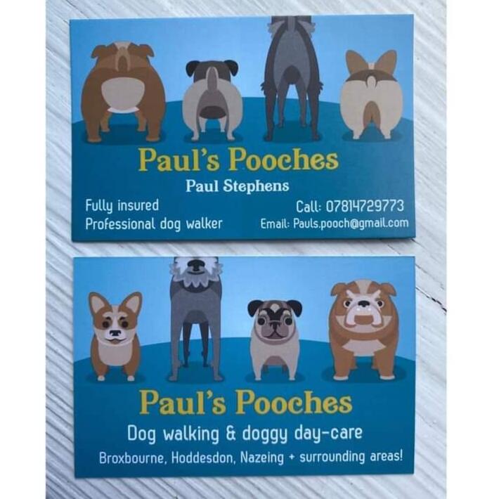 Pooches sales doggy daycare