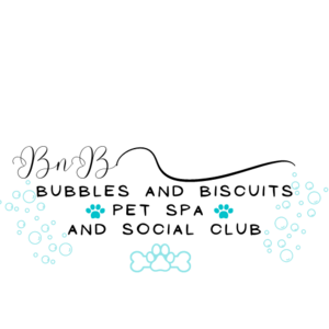 Bubbles and Biscuits  Pet Spa & Social Club for Dogs in Bonita Springs FL