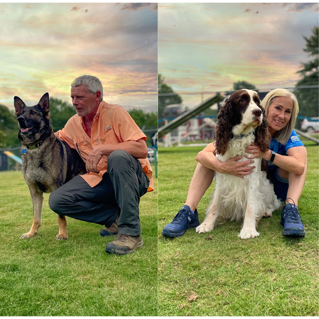 astro kennels training