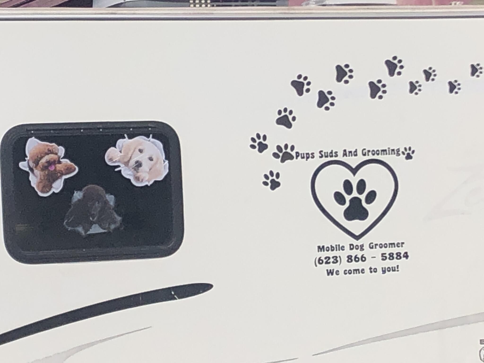 Paws and best sale suds mobile grooming