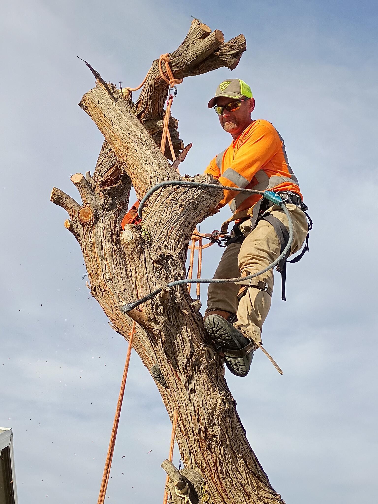 top notch tree service - Yuma, AZ - Nextdoor