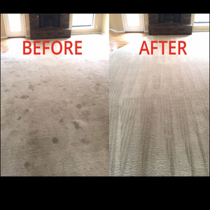Global Pros's Carpet Cleaning - 2 Connections - Gladstone, MO