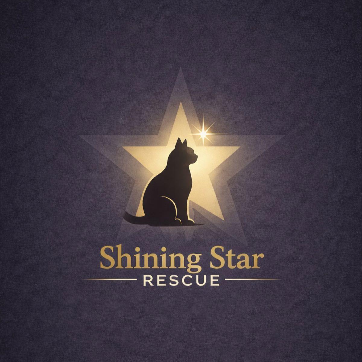 Shining Star Rescue - Nextdoor