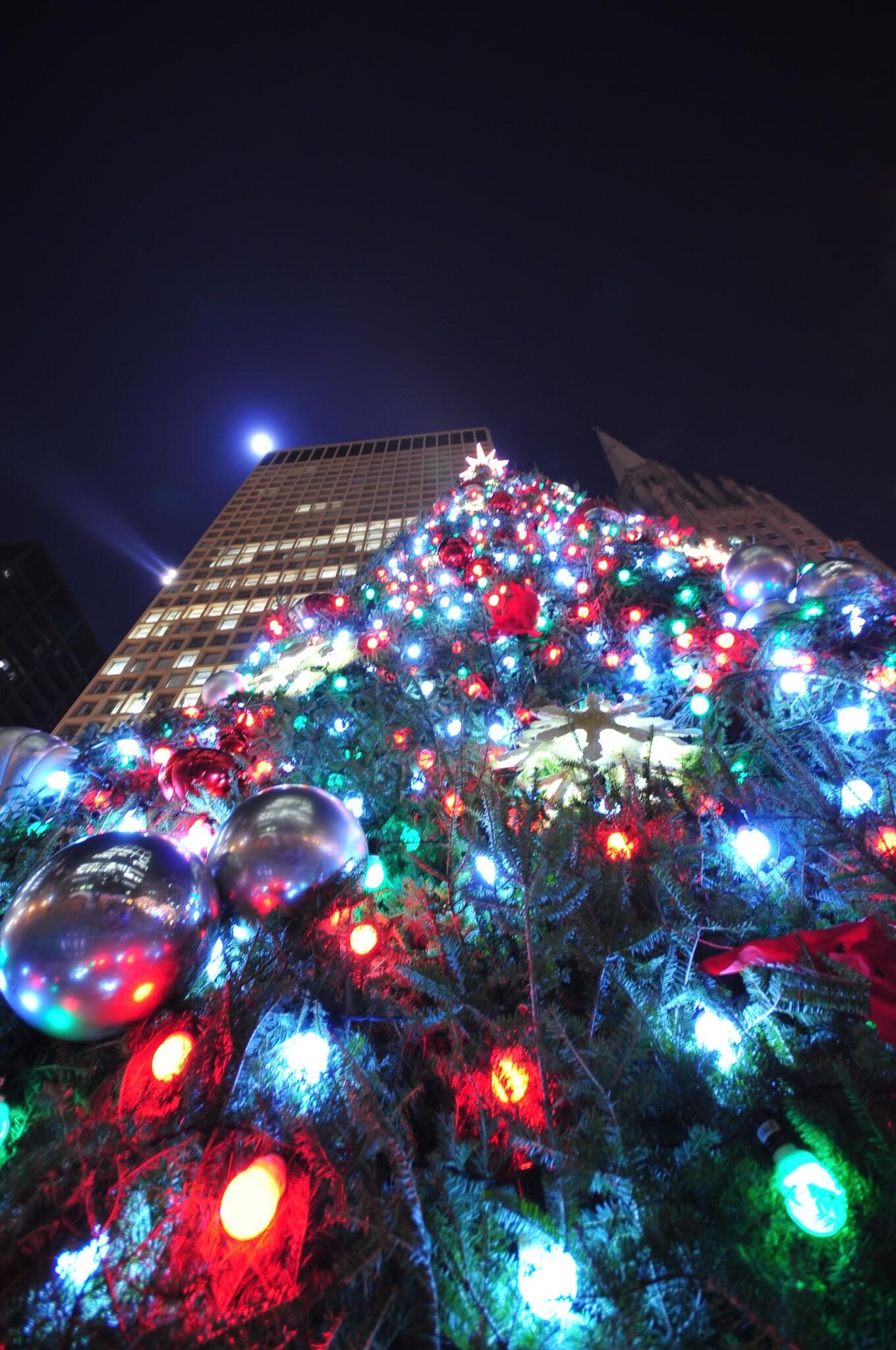 Photo on the author's post