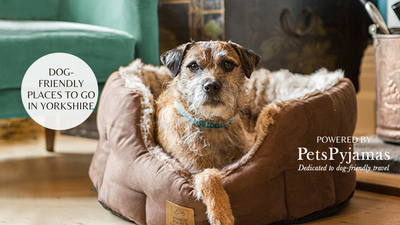 Hatfield Moors, Doncaster Everything You Need to Know