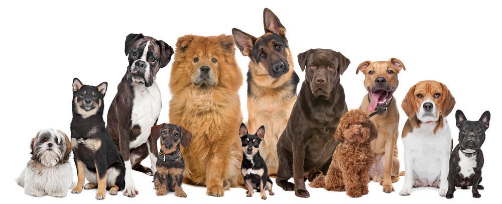 17+ Nextdoor Colorado Springs