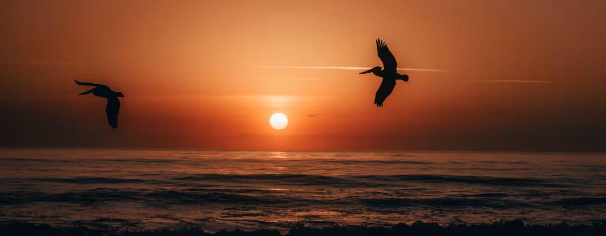 Melbourne, FL News, Crime, Lost Pets, Free Stuff