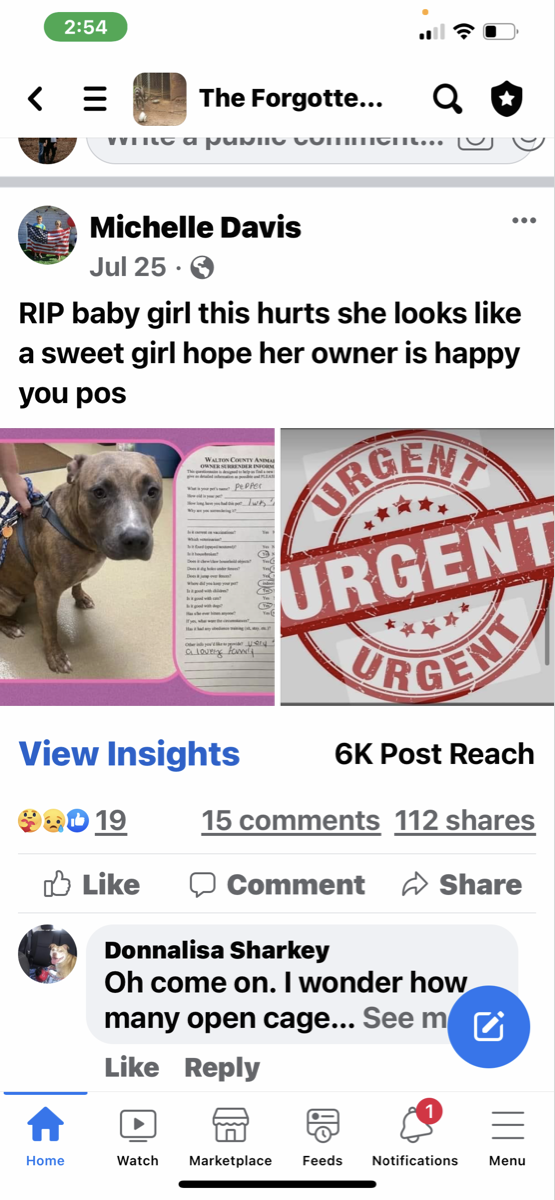 craigslist athens ohio pets by owner