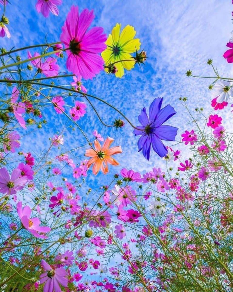 17+ Nextdoor Colorado Springs