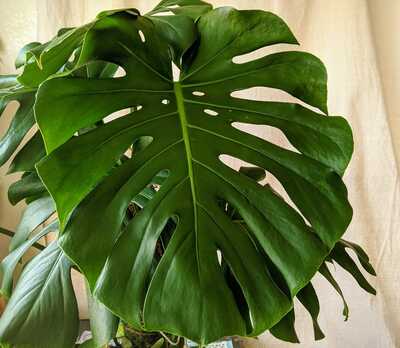 Photo on the author's post