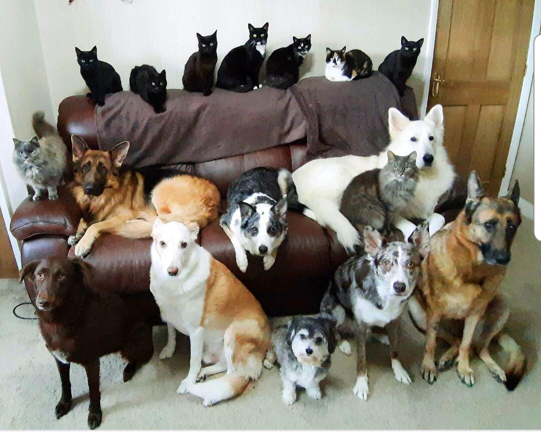 Colonia Solana, Tucson | Everything You Need to Know