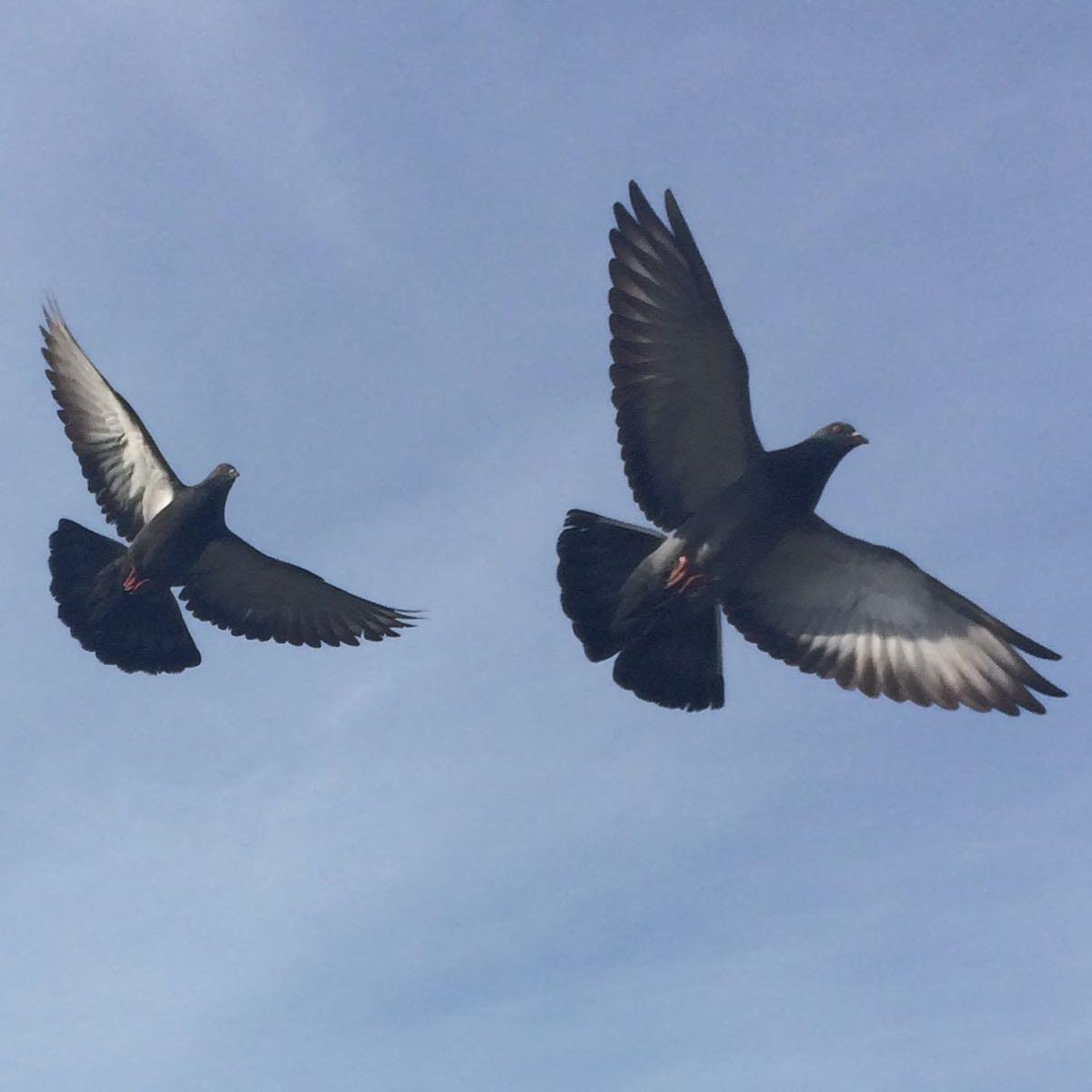 Photo on the author's post