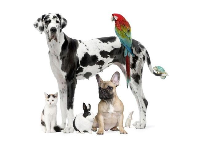 Abbey Hulton, Stoke-on-Trent Trick or Treat Map and Everything