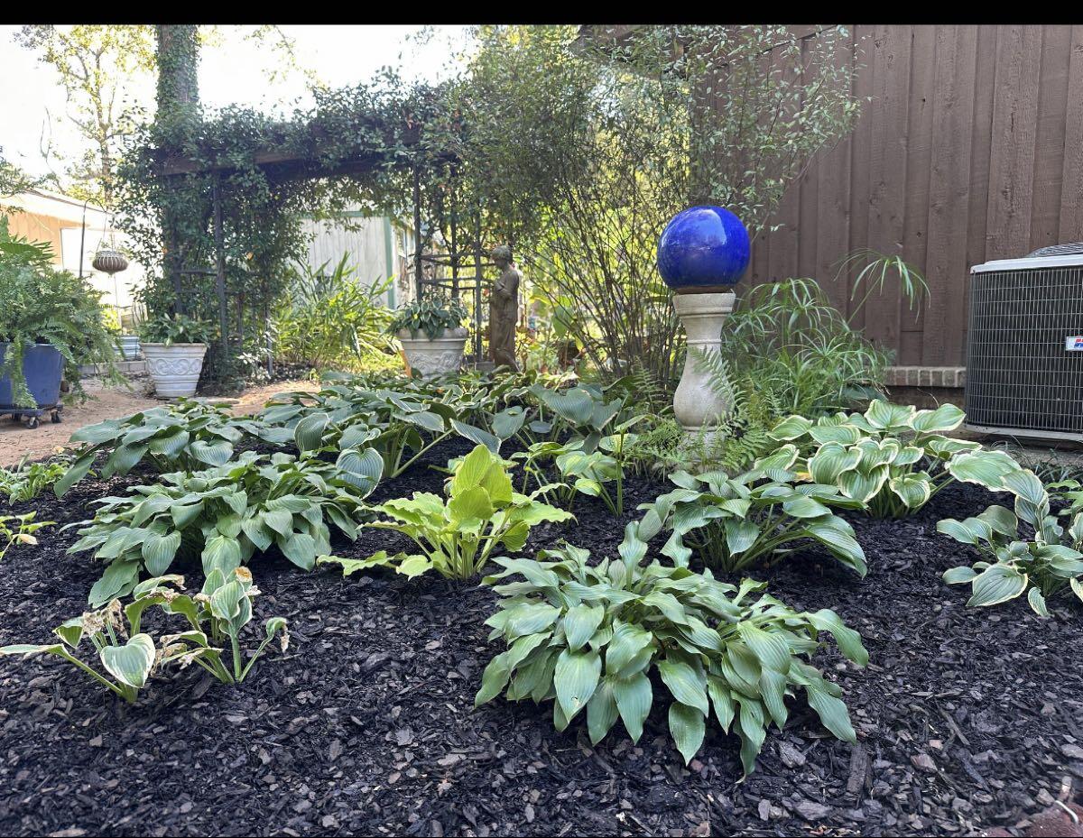 Dothan, AL News, Crime, Lost Pets, Free Stuff