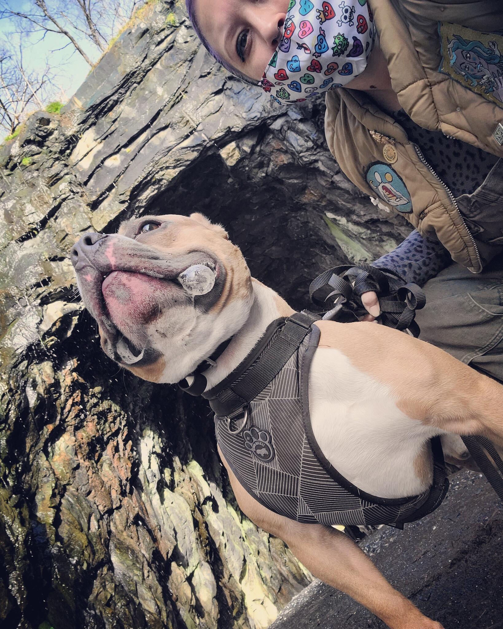 Rt2/Rt17 Tidewater, Fredericksburg Everything You Need to Know