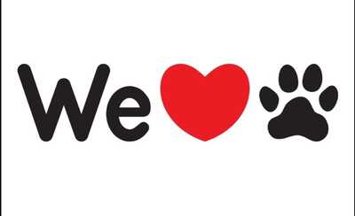 Photo on the author's post