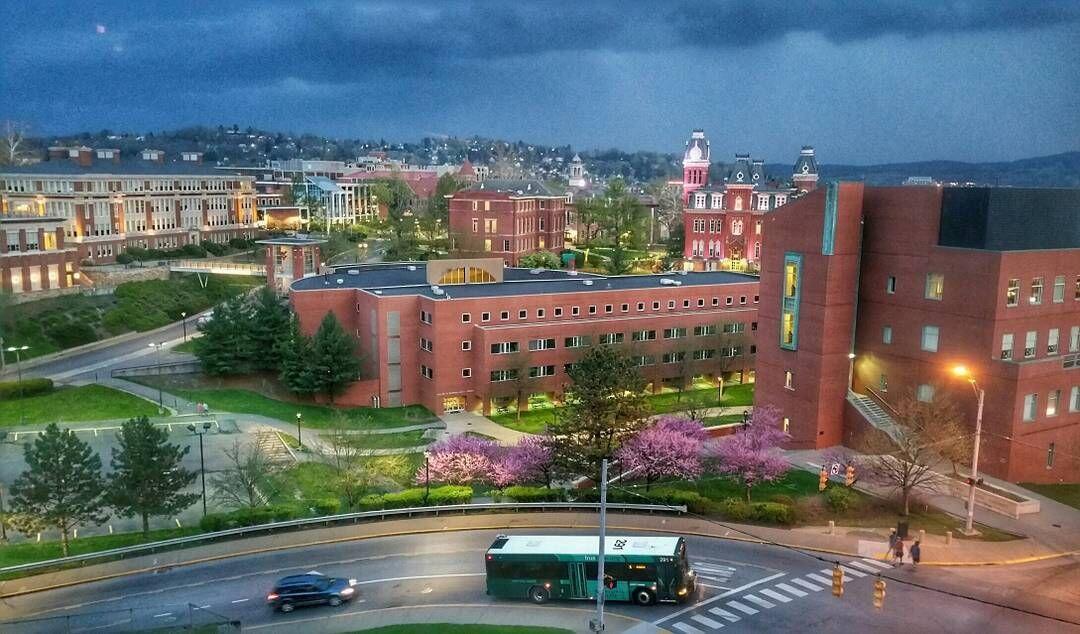 Morgantown, WV News, Crime, Lost Pets, Free Stuff