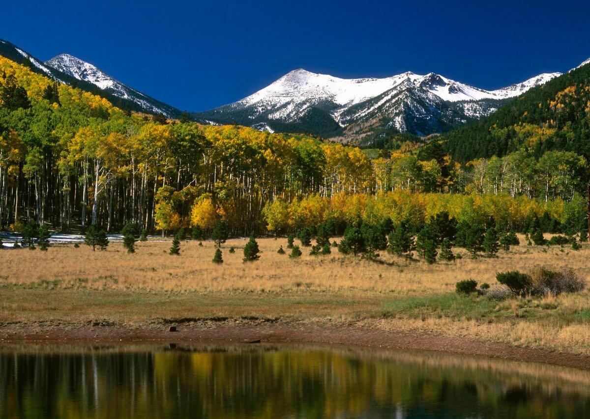 Flagstaff, AZ News, Crime, Lost Pets, Free Stuff