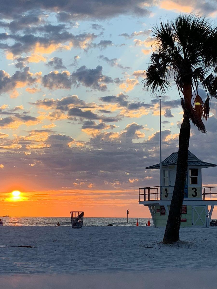 Palm Harbor FL News Crime Lost Pets Free Stuff