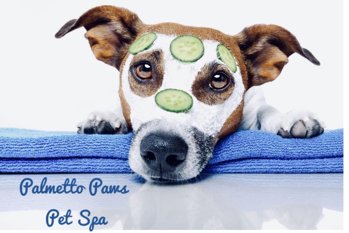 Palmetto Paws Pet Spa Llc Myrtle Beach SC Nextdoor