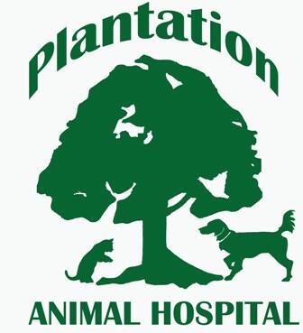 Plantation Animal Hospital - Clayton, NC - Nextdoor