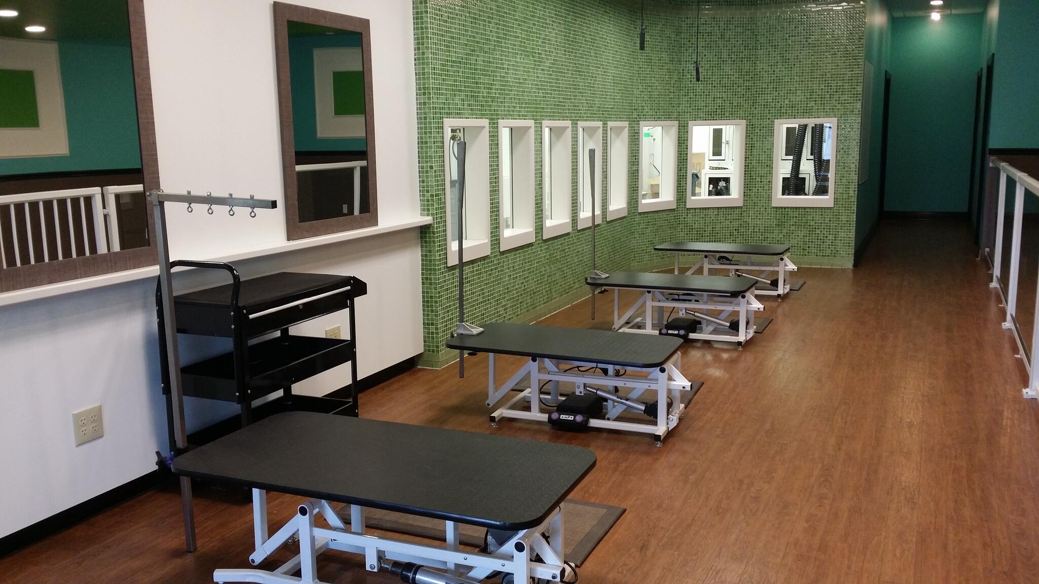 See Spot Grooming and Daycare Louisville, KY Nextdoor