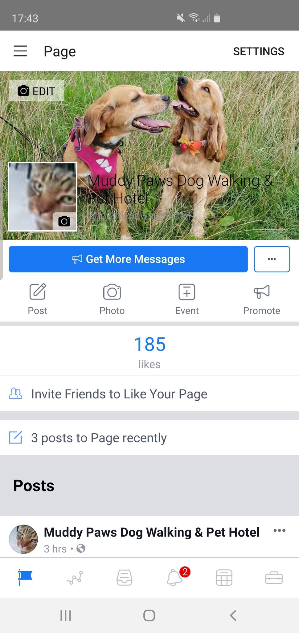 Muddy Paws Dog Walking & Pet Hotel Nextdoor