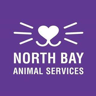 North Bay Animal Services of Petaluma