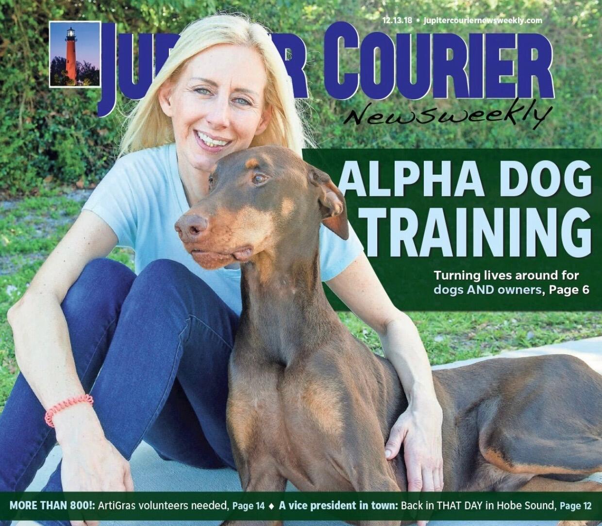 what is alpha dog training